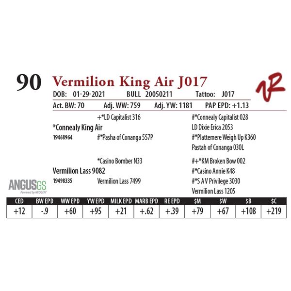 VERMILION KING AIR J017