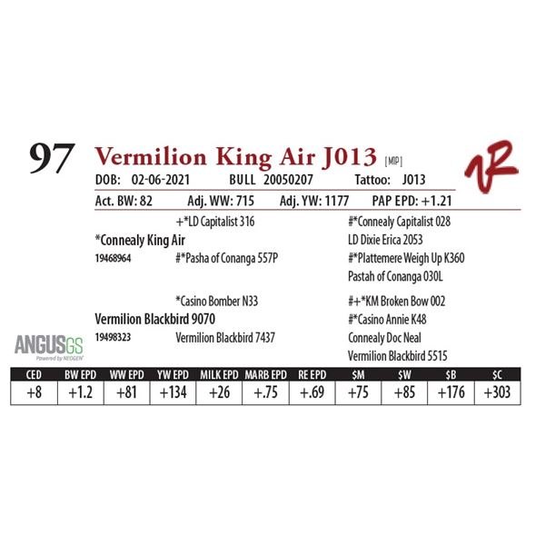 VERMILION KING AIR J013