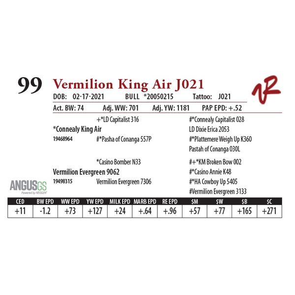 VERMILION KING AIR J021