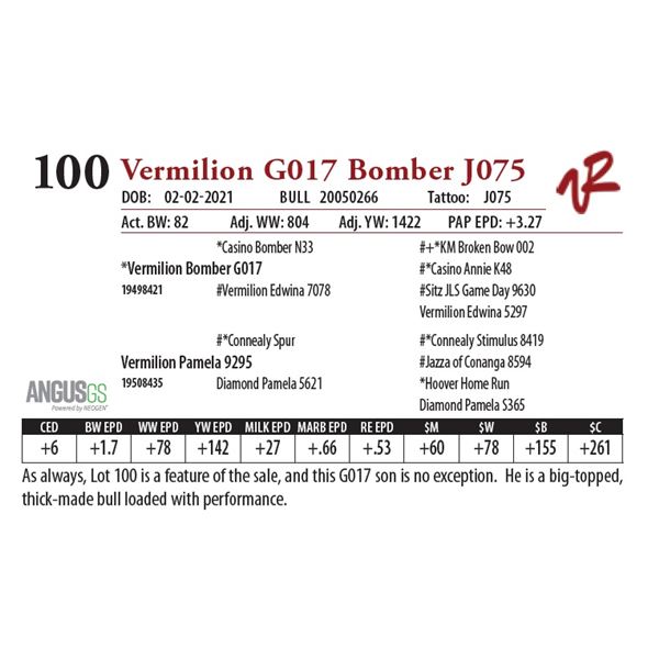 VERMILION G017 BOMBER J075