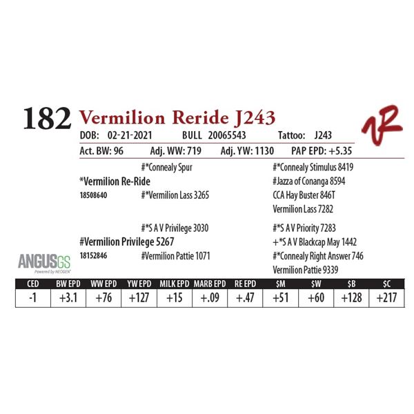 OUT OF SALE - VERMILION RERIDE J243