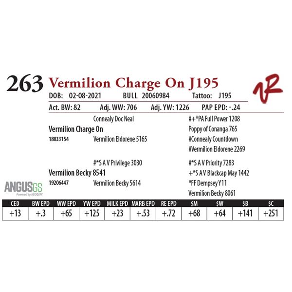VERMILION CHARGE ON J195