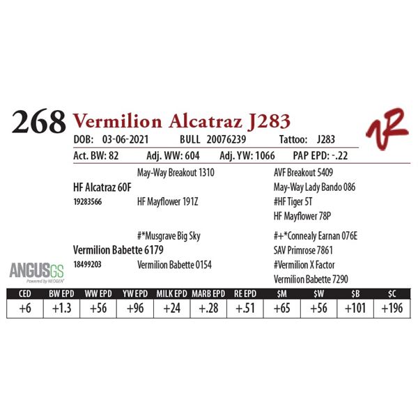 OUT OF SALE - VERMILION ALCATRAZ J283
