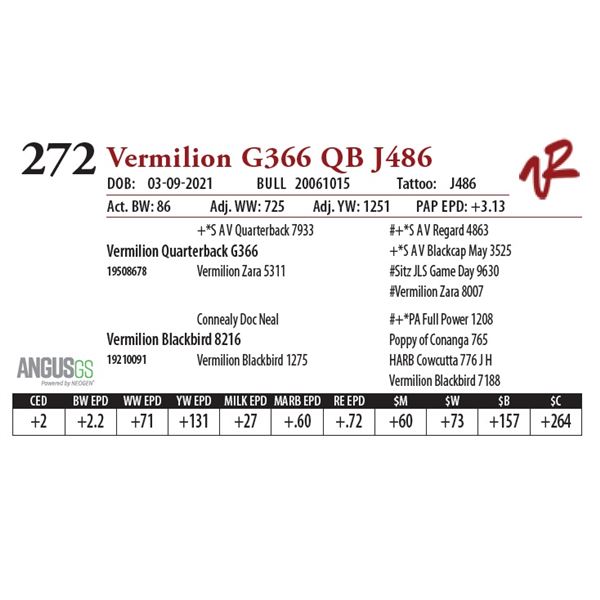 VERMILION G366 QB J486