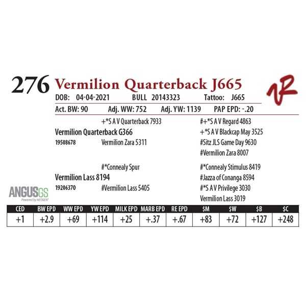 VERMILION QUARTERBACK J665