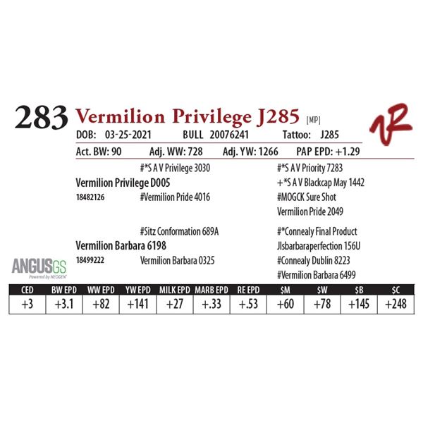 VERMILION PRIVILEGE J285