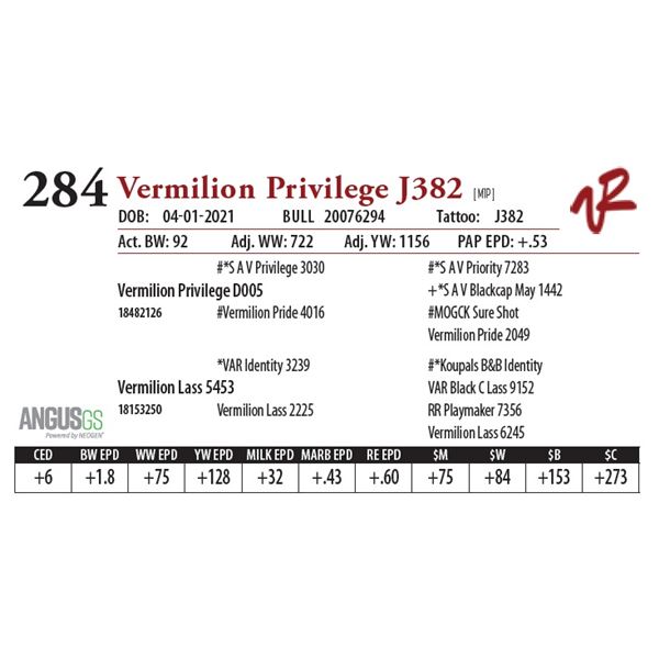 VERMILION PRIVILEGE J382