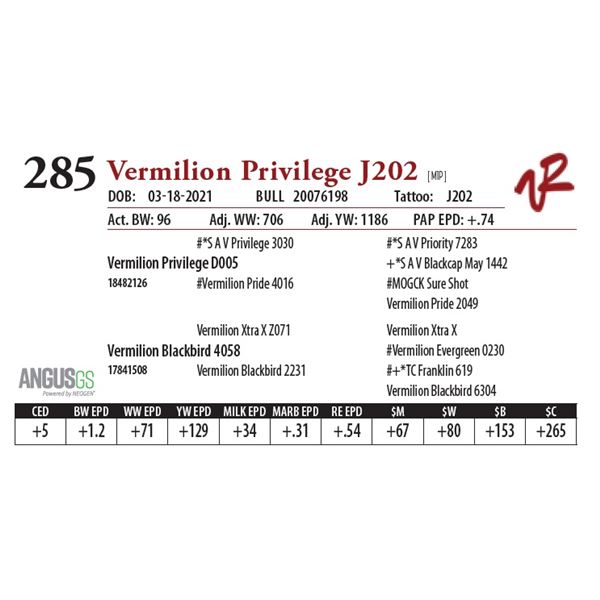 VERMILION PRIVILEGE J202