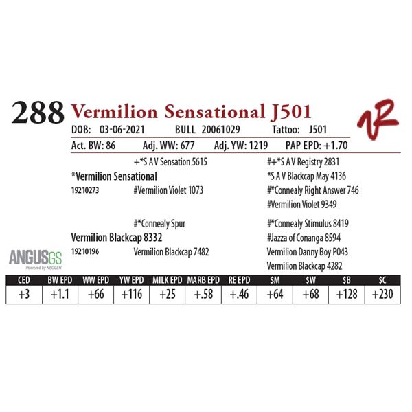 VERMILION SENSATIONAL J501