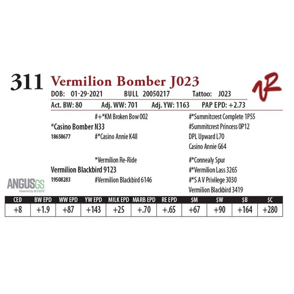 VERMILION BOMBER J023