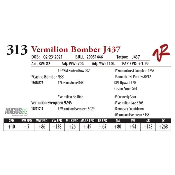 VERMILION BOMBER J437