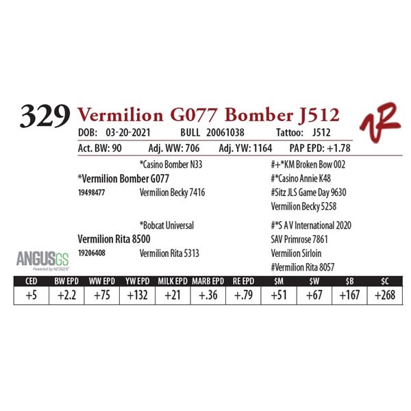 OUT OF SALE - VERMILION G077 BOMBER J512