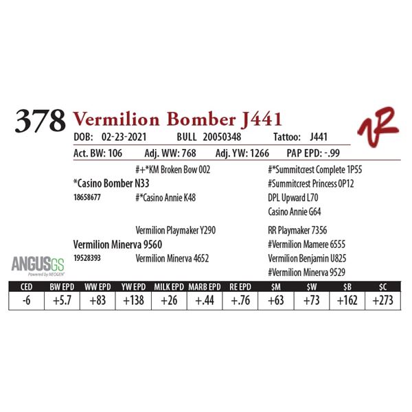 VERMILION BOMBER J441