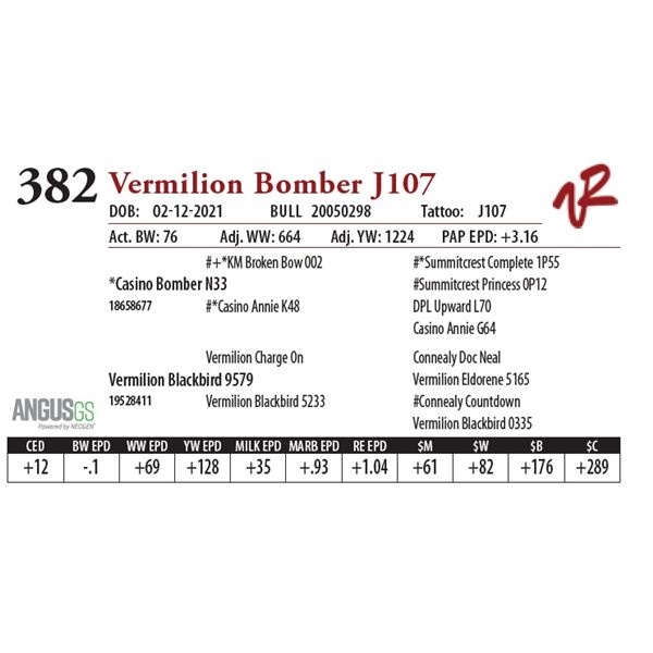 VERMILION BOMBER J107