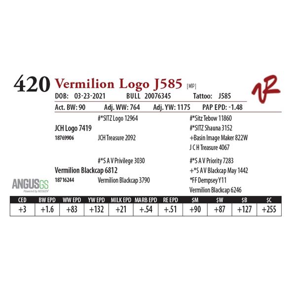 VERMILION LOGO J585