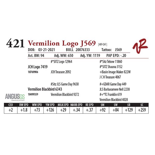 VERMILION LOGO J569