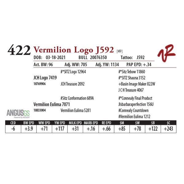 VERMILION LOGO J592