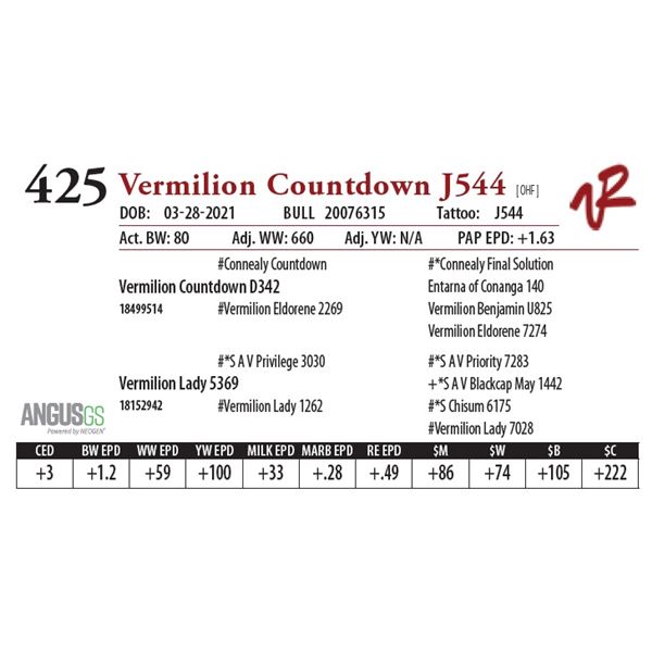 VERMILION COUNTDOWN J544