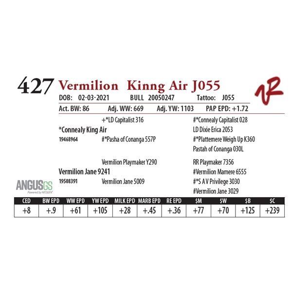 VERMILION KING AIR J055