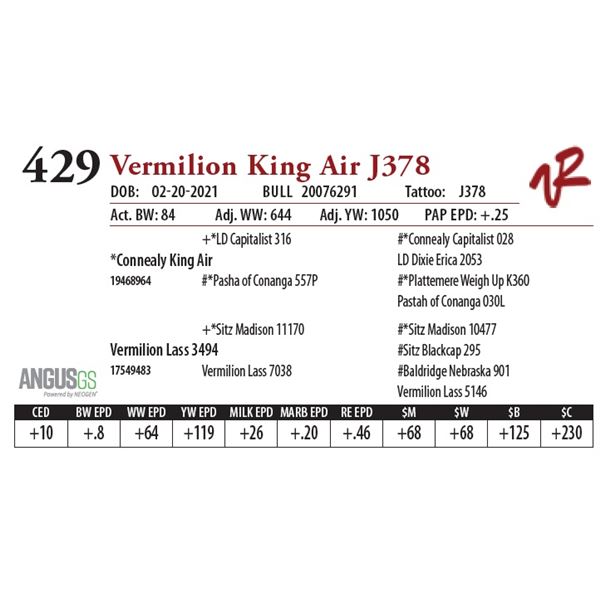 VERMILION KING AIR J378