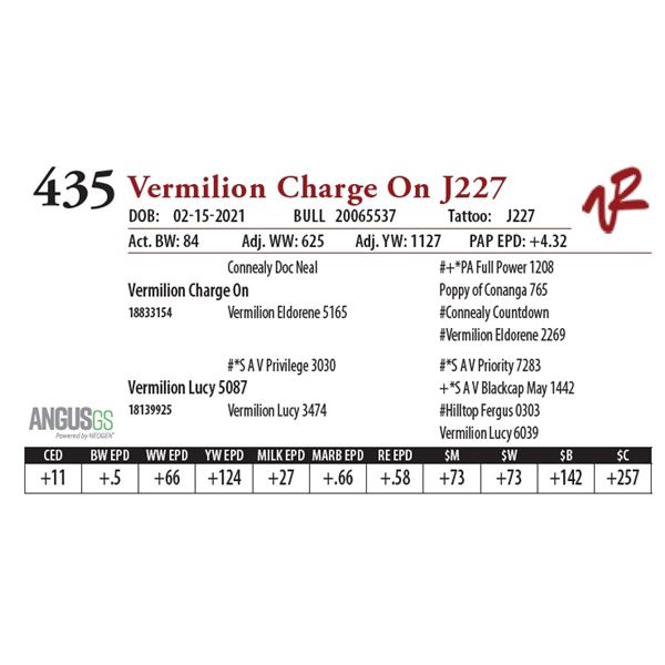 VERMILION CHARGE ON J227