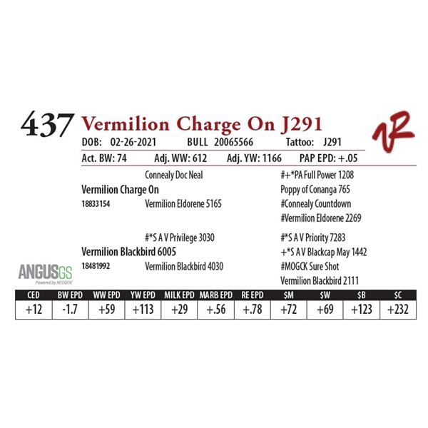 VERMILION CHARGE ON J291