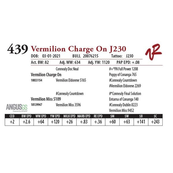 VERMILION CHARGE ON J230