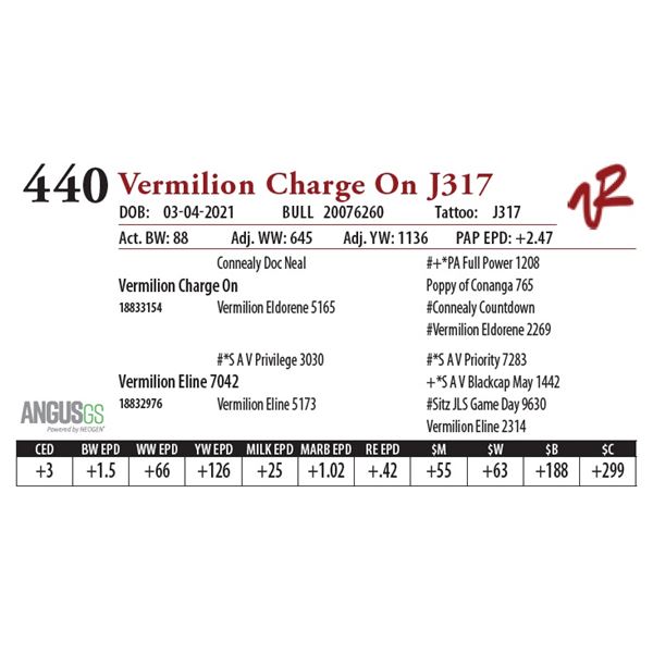 VERMILION CHARGE ON J317