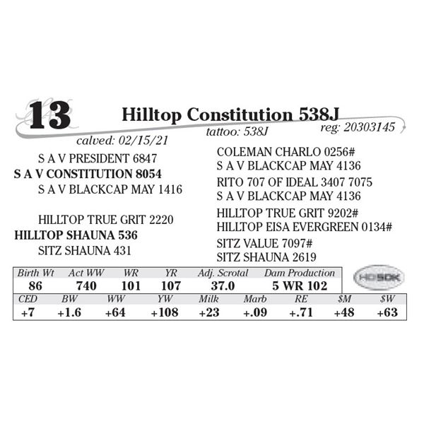 Hilltop Constitution 538J