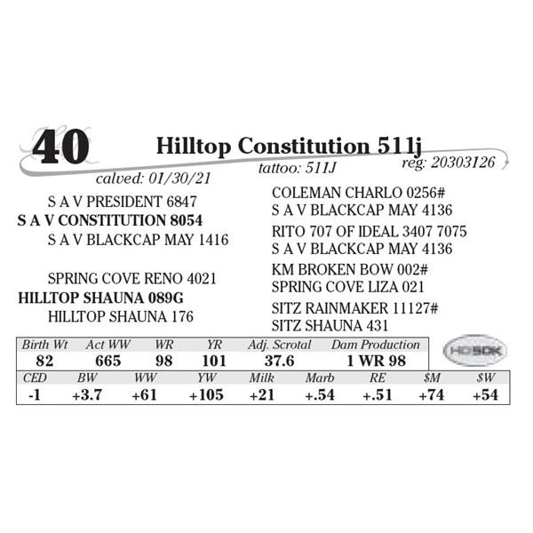 Hilltop Constitution 511j