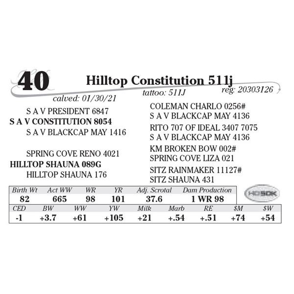 Hilltop Constitution 511j