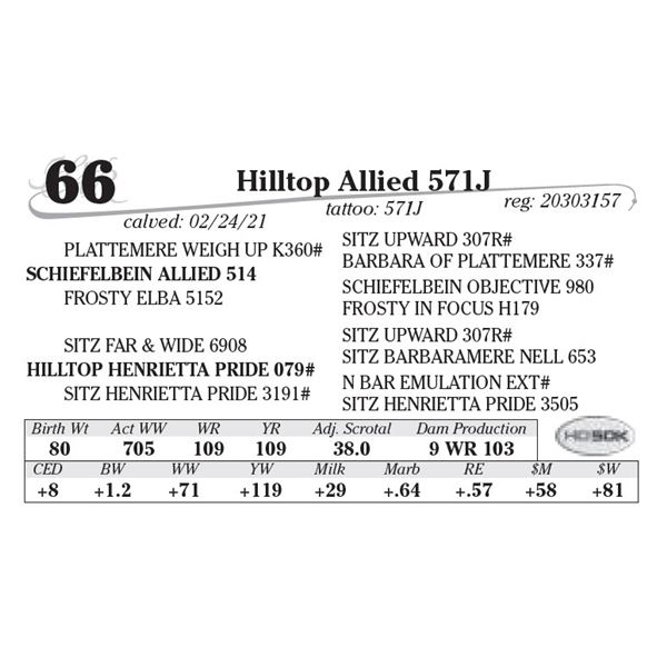 Hilltop Allied 571J