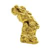 Image 1 : 7.52 Gram Yukon Gold Nugget