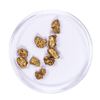 Image 2 : Lot of Gold Nuggets 4.12 grams Total Weight