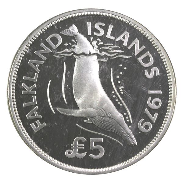 1979 Falkland Islands 5 Pounds, Humpback Whale .925 Proof Silver Coin (.8410oz). Lightly toned. Enca