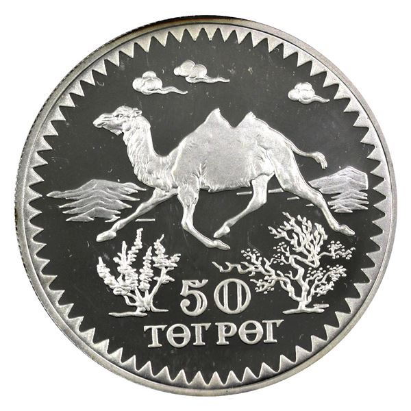 1976 Mongolia 50 Tugrik, Camel .925 Proof Silver Coin (1.04oz). Soft gold toning with freckled highl