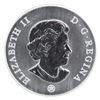 Image 2 : 2006 $50 Palladium 1oz. Spring Big and Little Bear Constellations. Mintage of only 1200 (TAX Exempt)