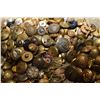 Image 3 : Huge Military Button lot