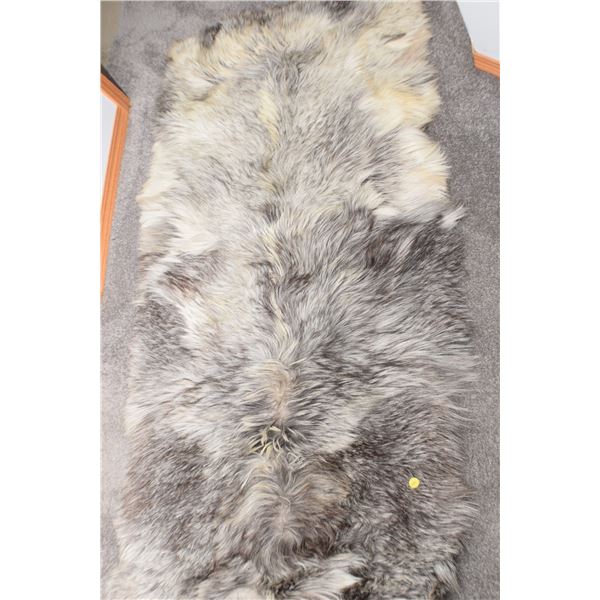 6' Hide / Rug ? - Eaton's - Wolf?
