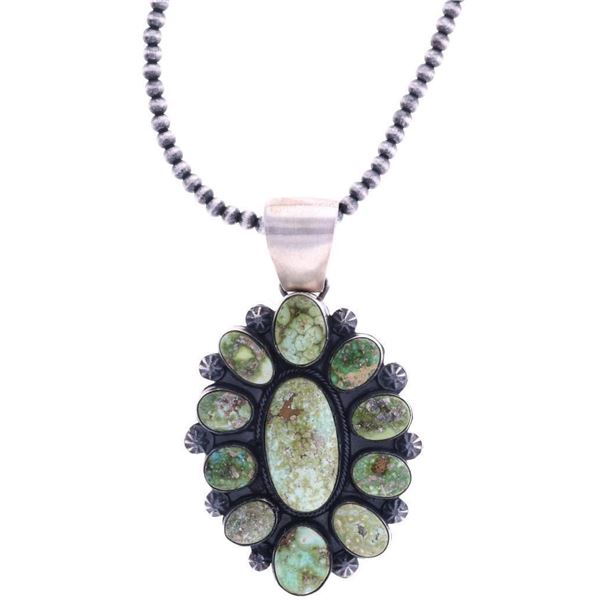 Navajo Jeff James Sonoran Gold Turquoise Necklace