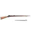 Image 1 : Springfield 1878 .45-70 Trapdoor Rifle & Bayonet