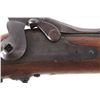 Image 8 : Springfield 1878 .45-70 Trapdoor Rifle & Bayonet