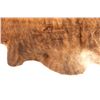 Image 4 : Light Brindle Striped Brown Premium Cowhide