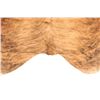 Image 5 : Light Brindle Striped Brown Premium Cowhide