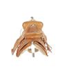 Image 10 : Western Salesman Sample Saddle 1900's