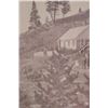 Image 8 : 19th Century Settlement Framed Photograph