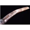 Image 10 : Trophy Stag Antler Tine Trailing Point TS130 Knife