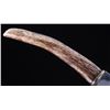 Image 6 : Trophy Stag Antler Tine Trailing Point TS130 Knife