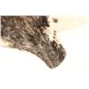 Image 12 : Exotic Tri-Colored Cowhide Brindle Premium Rug