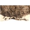 Image 4 : Exotic Tri-Colored Cowhide Brindle Premium Rug